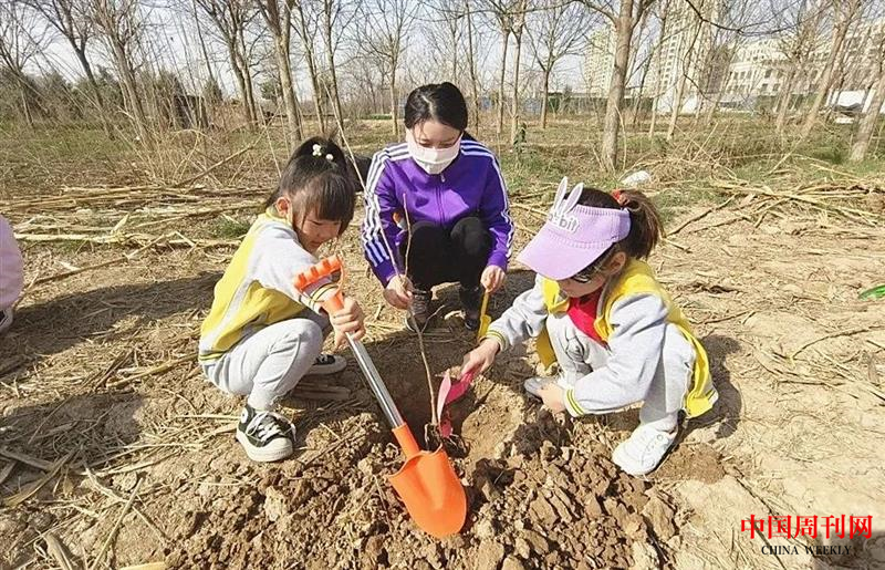 图片7.png 图片7.png