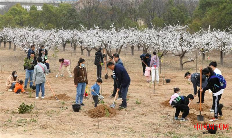 图片8.png 图片8.png