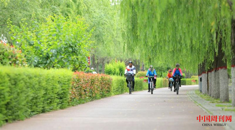 图片9.png 图片9.png