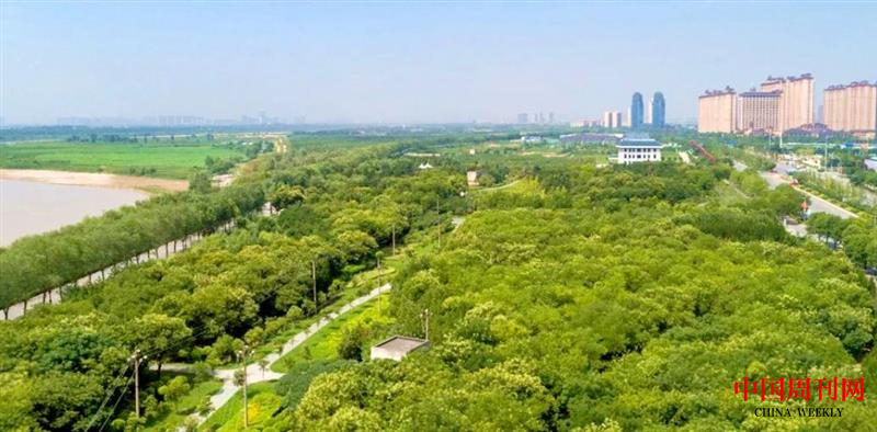 图片11.png 图片11.png