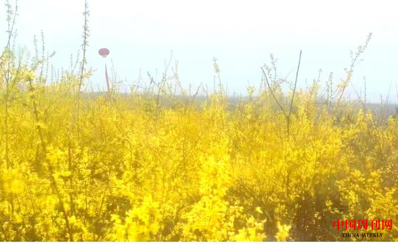 图片4.png 图片4.png