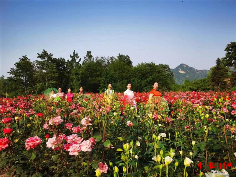 图片4.png 图片4.png