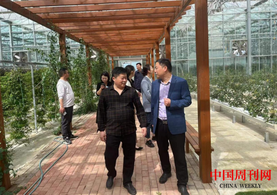 微信截图_20230420092449.png 微信截图_20230420092449.png