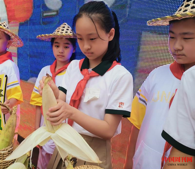 图片8.png 图片8.png