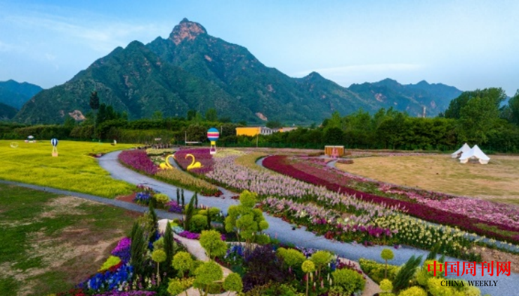 图片4.png 图片4.png