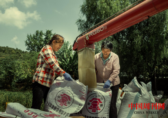 微信截图_20231010101311.png 微信截图_20231010101311.png