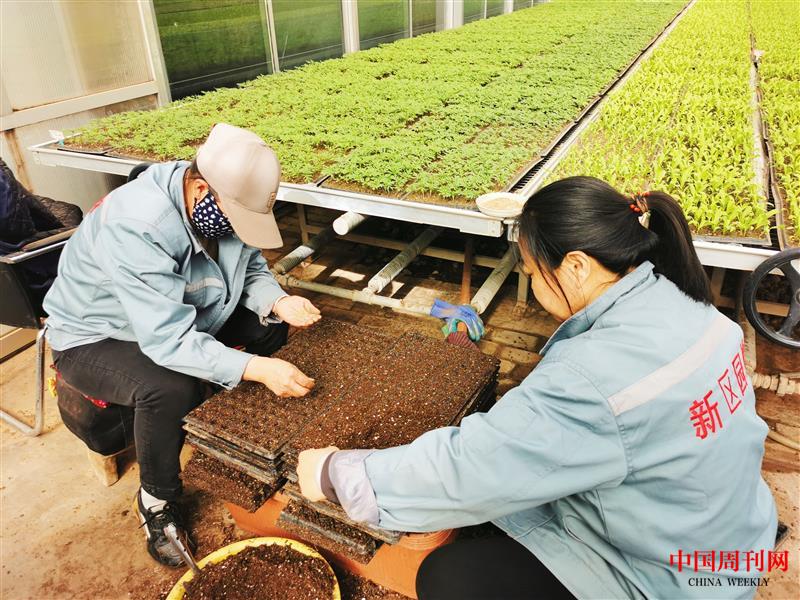 4d4b3e6e13ebd62837e674cf7d56e90.jpg 4d4b3e6e13ebd62837e674cf7d56e90.jpg