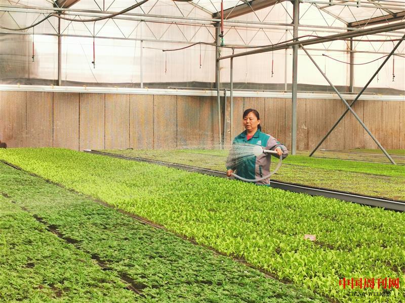 76ae5fb280fec002b5af8ed98e3fcc2.jpg 76ae5fb280fec002b5af8ed98e3fcc2.jpg