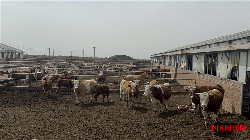 868558e4157c1419b7a46ac45f3f38d.jpg 868558e4157c1419b7a46ac45f3f38d.jpg