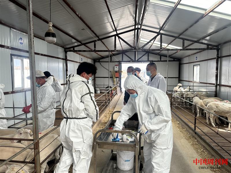 bd3694a3e9a2275245c81a447598865.jpg bd3694a3e9a2275245c81a447598865.jpg