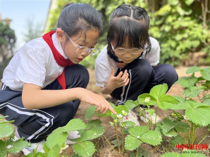 mmexport1714270163103.jpg mmexport1714270163103.jpg