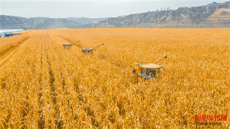 DJI_0465.jpg DJI_0465.jpg