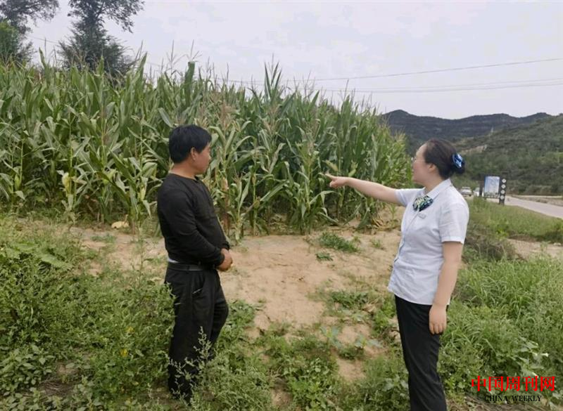 图片24.png 图片24.png