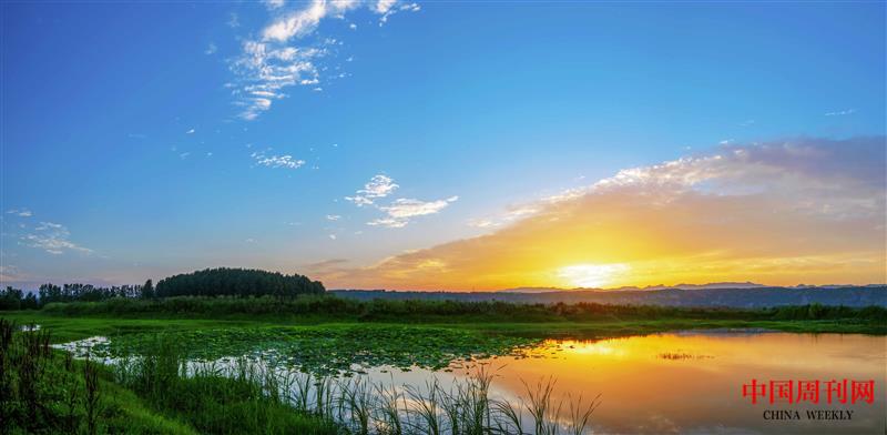 9《黄河湿地》.jpg