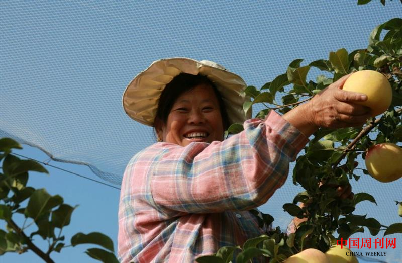 图片4.png 图片4.png