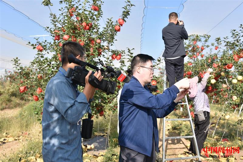 图片20.png 图片20.png