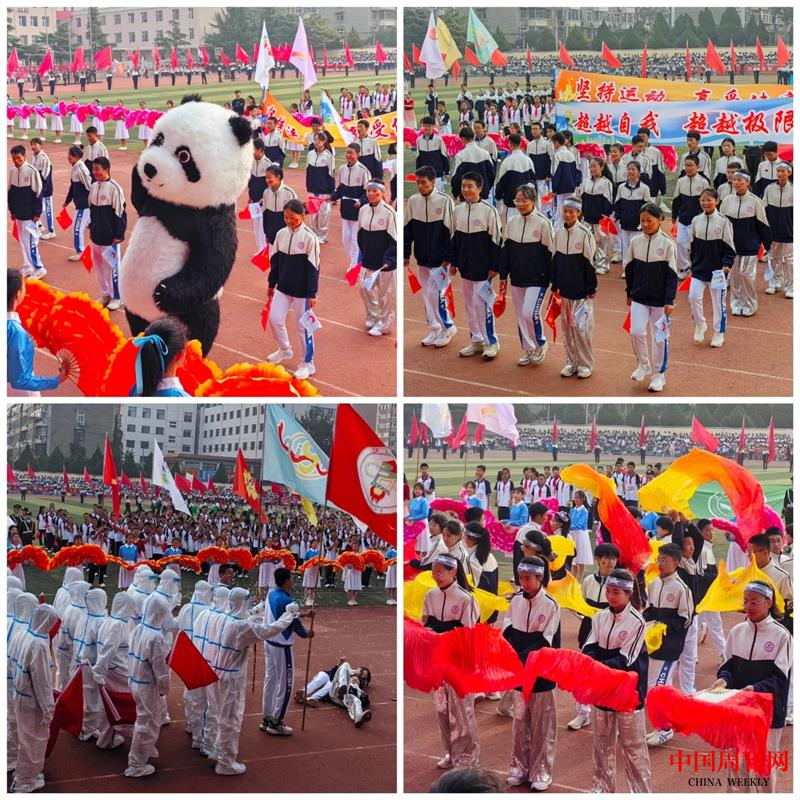 图片7.png 图片7.png