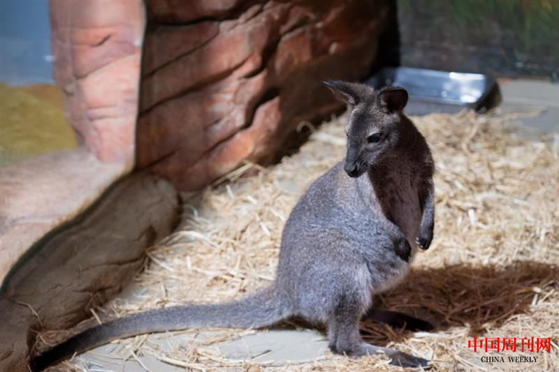 图片 4.png 图片 4.png