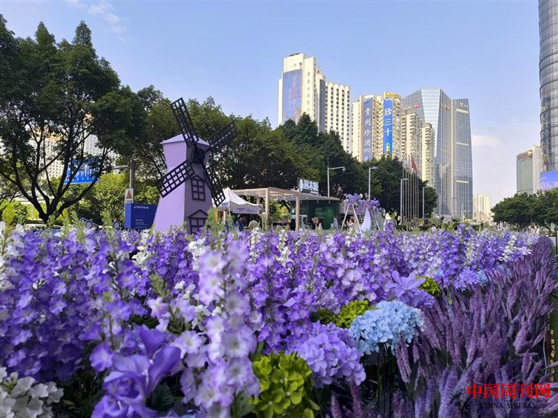 图片 11.png 图片 11.png