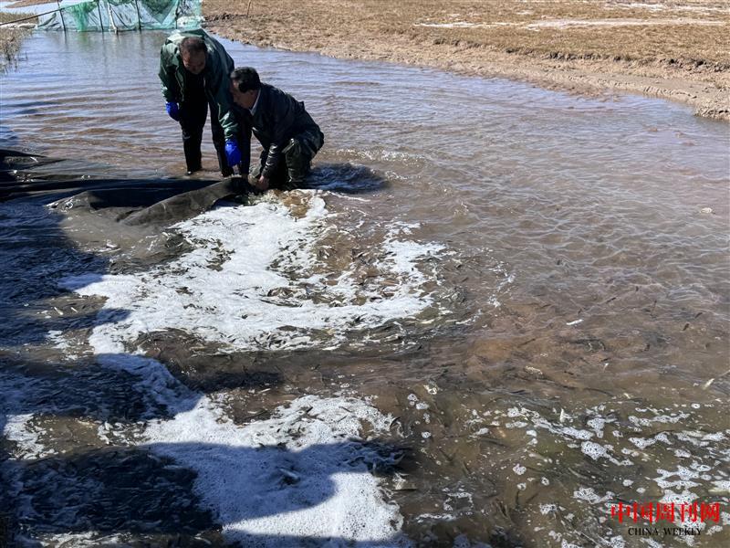 20241011145814.jpg 20241011145814.jpg