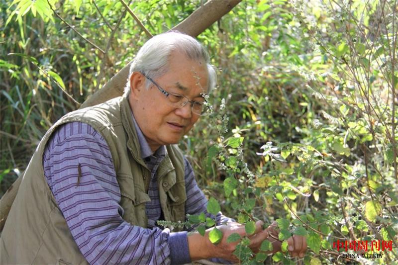 微信图片_20250106155118.jpg 微信图片_20250106155118.jpg