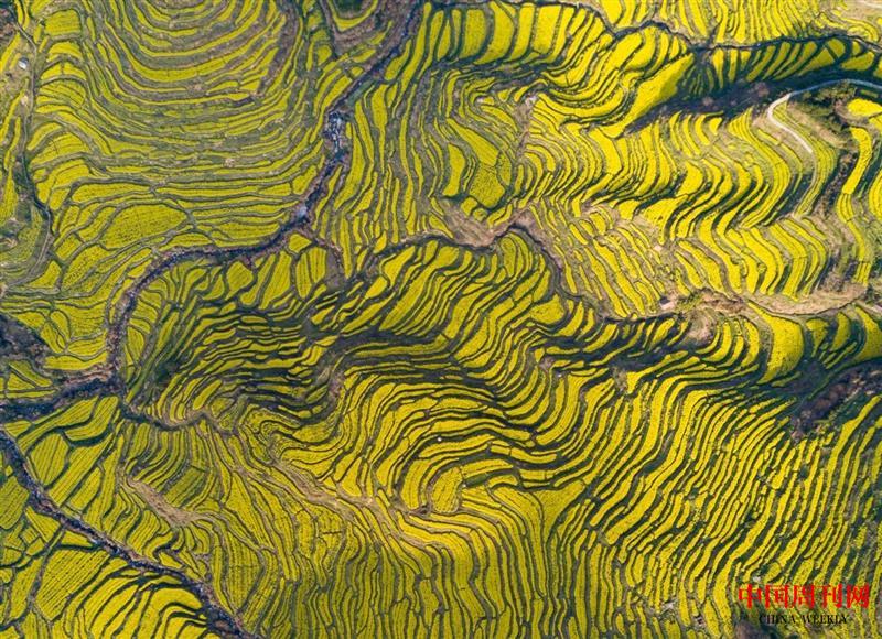 微信图片_20250514141310.jpg 微信图片_20250514141310.jpg